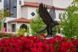 澳门银银河官方网站登录入口州立大学红鹰雕像